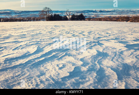 Paysage d'hiver dans la lumière du matin avec le vent sur la neige. Le Shropshire Hills en Royaume-Uni Banque D'Images