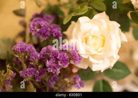 St-valentin superbe rose blanche et violette Bouquet botanique - 14 février 2010. Madrid. L'Espagne. Banque D'Images