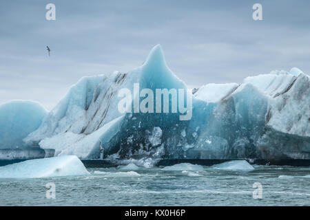 Des icebergs sur la lagune glaciaire du Jökulsárlón le vêlage du glacier Breiðamerkurjökull, bordant le parc national du Vatnajökull, dans le sud-est de l'Islande Banque D'Images