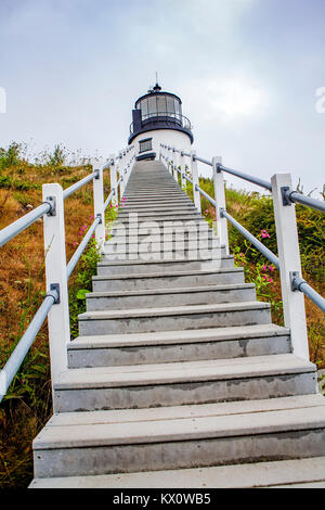 Escaliers en bois mènent à la lumière de Owl's Head situé à l'entrée de Rockland Harbor sur l'ouest de la baie de Penobscot, Maine, USA. Banque D'Images