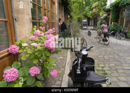 France, Paris (75) Passage Lhomme Banque D'Images