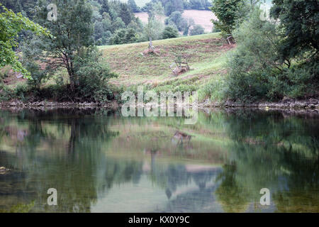 Réflexions sur la surface de la rivière Doubs en Suisse Banque D'Images