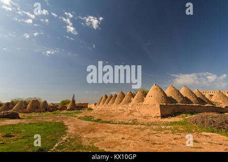 Maisons en adobe bombé dans la ville de Harran, près de Sanliurfa, Turquie. Banque D'Images