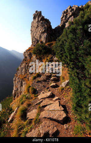 La Pologne, Tatras, Zakopane - chemin sous le pic Grzybowiec Banque D'Images