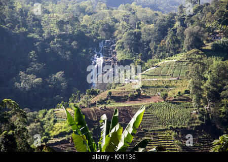 Peu de Rawana ou Ravana Falls Cascade, Ella, le district de Badulla, Province d'Uva, au Sri Lanka, en Asie Banque D'Images