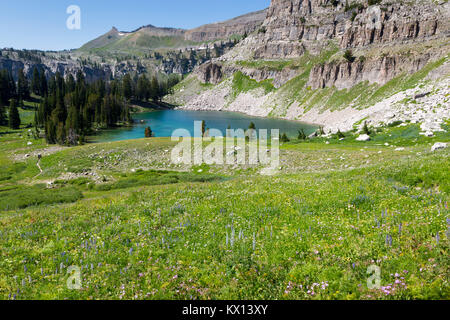 Lac Marion, en haut de Canyon de granit, ardent ci-dessous grand pics dans le Teton Mountains. Parc National de Grand Teton, Wyoming Banque D'Images