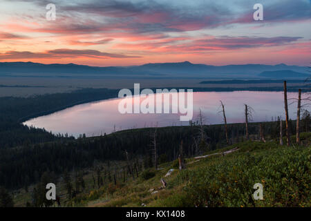 Les couleurs du lever au-dessus de Jackson Hole reflète dans les eaux calmes du matin de Jenny Lake. Parc National de Grand Teton, Wyoming Banque D'Images