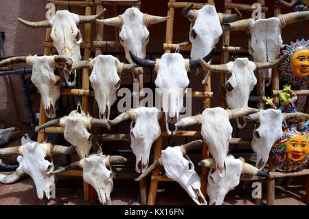 Les buffles et les crânes de vache à vendre à Santa Fe farmers market nouveau mexique USA Banque D'Images