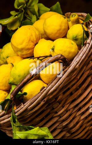 Sol en bois panier en osier plein de citrons avec des feuilles Banque D'Images