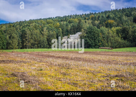 Bile Kameny (cailloux blancs) Aussi appelé Marcos Kameny (Elephant Stones) - formation de grès dans les montagnes de l'ouest de Lusace Sudetes, République Tchèque Banque D'Images