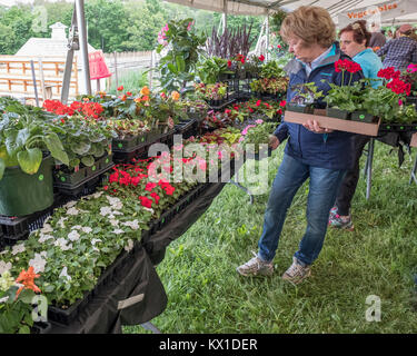 Une femme avec une boîte de fleurs qu'elle est l'achat Banque D'Images