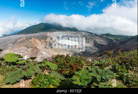 Lac de cratère avec Caldera, le volcan Poas, Parc National Volcan Poas, au Costa Rica Banque D'Images