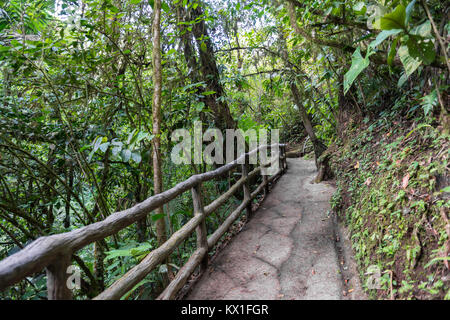 Sentier de randonnée, forêt tropicale, Mistico ponts suspendus d'Arenal Park, Parc National Volcan Arenal, province d'Alajuela, Costa Rica Banque D'Images