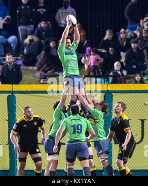 Sugarland, Texas, USA. 6 janvier, 2018. Seattle sarrasins en action pendant le match entre le Seattle MLR Sarrasins et le Houston SaberCats au champ Constellation à Sugarland, TX. Chris Brown/CSM/Alamy Live News Banque D'Images