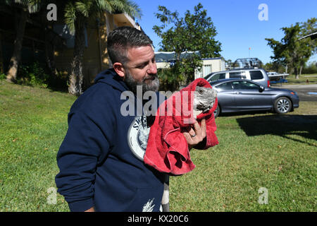 WESTON, Floride - 05 janvier : (COUVERTURE EXCLUSIVE) froid brutal, fait froid dans le nord-est après "bombe cyclone. Florida Fish and Wildlife Conservation Commission ont déclaré que les iguanes peuvent devenir paralysés ou là où le mercure a atteint entre 40 et 50 degrés. Tous les iguanes sur l'état tombent des arbres après être devenu à froid. Guides touristiques et l'on voit ici pour la chaude robe airboat ride comme employé Tim parle de soins 'IGGY l'Iguane par l'enveloppant dans une couverture et même mettre des gants sur lui pour lui tenir chaud au SawGrass Recreation Park situé dans Everglades National Park Banque D'Images