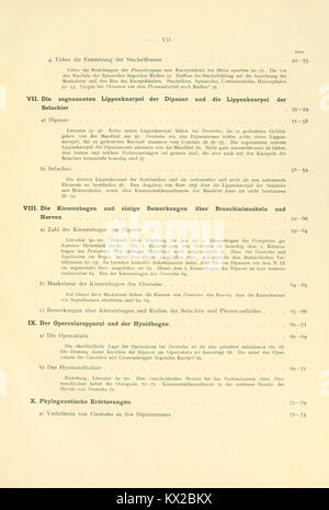 Beiträge zur morphologie des skeletes der dipnoer (Page vii) BHL3714739 Banque D'Images