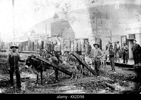 Des ânes ou Mulets transportant chargement de bois dans la rue boueuse, Dawson, Territoire du Yukon, ca 1898 (HEGG 363) Banque D'Images