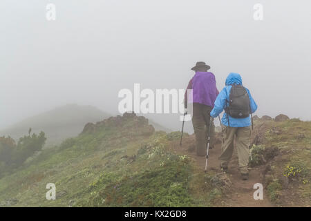 Randonneurs sur le sentier au mont Townsend dans le désert Buckhorn, Olympic National Forest, Washington State, USA Banque D'Images