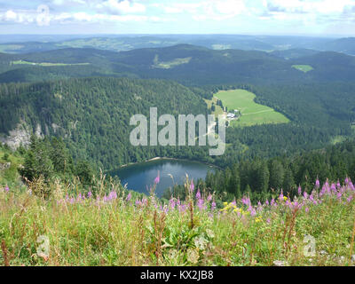 Lac de montagne (Feldsee) vu de Feldberg, Allemagne Banque D'Images