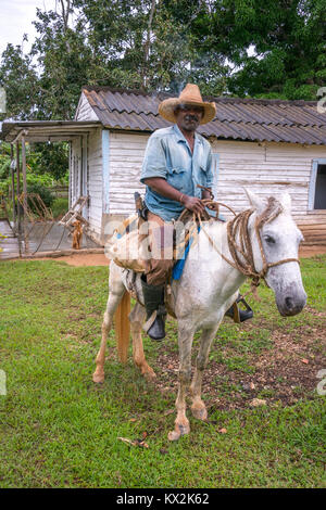 Paysan créole à cheval, dans la région de Pinar del Rio, Cuba Banque D'Images