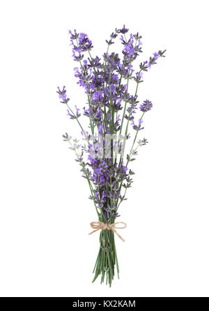 Bundle de lavande isolé sur fond blanc. Banque D'Images