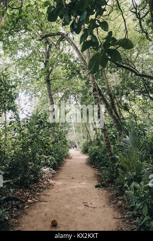 Sentier de randonnée de sable au parc national de Cahuita, Puerto Viejo, Limón, Costa Rica. Banque D'Images