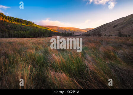 Paysage de Glenmalure dans Wicklow Mountains - Irlande Banque D'Images