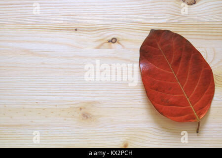 Une plante tropicale tombé la couleur rouge feuille sèche sur une table en bois Banque D'Images