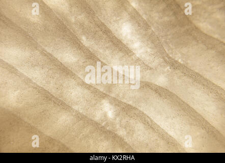 Fond de sable. Dunes de sable de corail sous-marine. La plage de sable de coquilles de mer arrière-plan. Vue de dessus Banque D'Images