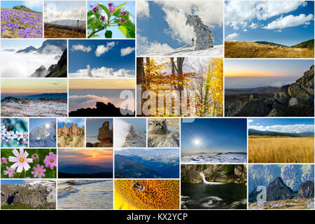 Collage de diverses nature photos au fil des saisons Banque D'Images