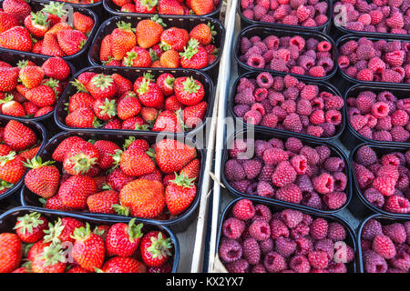 Fraises et framboises affichées dans les boîtes en plastique Banque D'Images