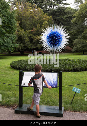 Star Saphir à la Dale Chihuly exposition au Jardin Botanique de New York, New York, NY, NY, août 12,2017 Banque D'Images