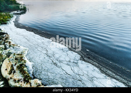 La mousse de la pollution sur la rive d'un lac dans la région de Québec, Canada Banque D'Images