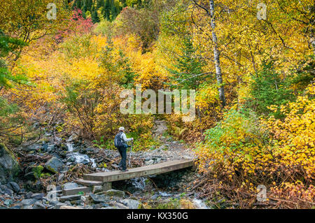 Randonneur sur un petit pont dans la randonnée de la boucle du Mont Albert en Gaspésie au Québec, province du Canada Banque D'Images