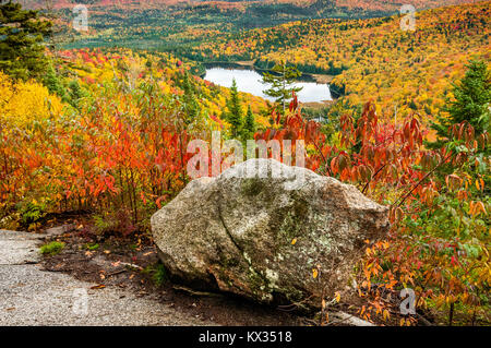 Rock et un petit lac dans une forêt de pins, de bouleaux et d'érables à l'automne au Québec Banque D'Images