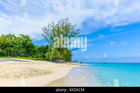 Seven Mile Beach dans les Caraïbes, Grand Cayman, Cayman Islands Banque D'Images