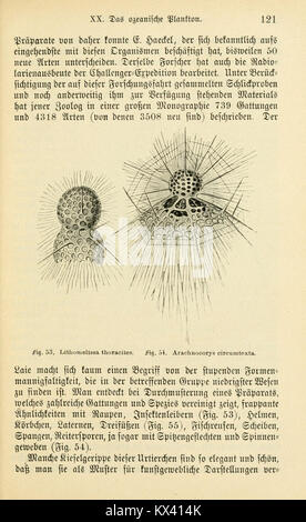 Une page de 'Das Süsswasser-Plankton', un travail scientifique axé sur l'étude du plancton d'eau douce, présentant des espèces microscopiques et leurs rôles écologiques dans les écosystèmes aquatiques. Banque D'Images