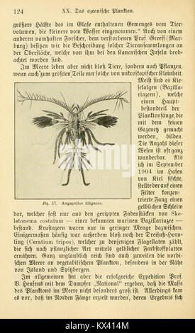 Cette page de 'Das Süßwasser-Plankton' fournit des illustrations scientifiques et des descriptions des espèces de plancton d'eau douce, documentant la taxonomie et les rôles écologiques. Banque D'Images