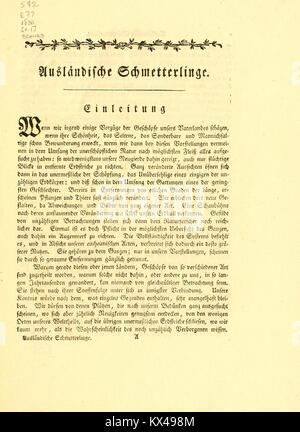 Die ausländischen Schmetterlinge in Abbildungen nach der Natur BHL12762962 Banque D'Images