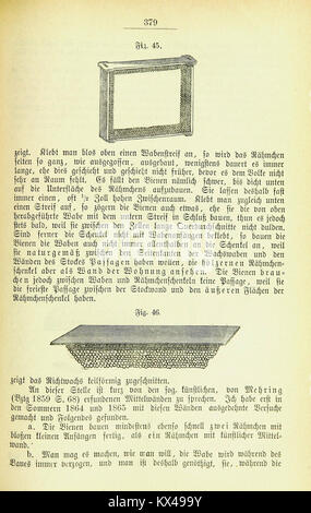 Ce travail du XIXe siècle traite des pratiques apicoles des ruches à ossature mobile dans les régions où il manque de fourrage fin d'été, détaillant la gestion des ruches et les techniques de production de miel. Banque D'Images