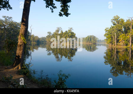 Vingt mille lake (Bishazari Tal), Parc national de Chitwan, au Népal Banque D'Images