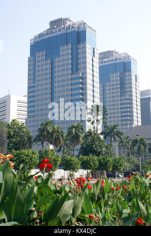 Fleur et les bâtiments modernes sur la rue à Jakarta, Java, Indonésie Banque D'Images