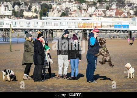 Les promeneurs de chiens jouent avec leurs animaux de compagnie sur Weston-super-Mare, Somerset, à mesure que les températures chutent à travers le Royaume-Uni. Banque D'Images