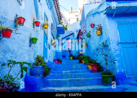 Rue bleue avec des seaux de fleurs colorées à Chefchaouen, Maroc Banque D'Images