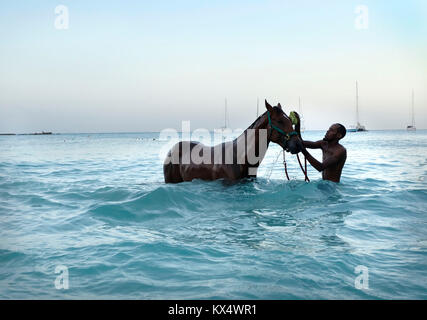 Bridgetown, Barbade. 07Th Jan, 2018. Une part stable baigne un cheval de course à l'aube, après le premier jour de la nouvelle saison de courses de chevaux à la Barbade hier (samedi 6 mai) chez Browns Beach près de Bridgetown, Barbade. La course de chevaux est une partie importante de la Barbade et du patrimoine' remonte à 1845 quand la petite île faisait partie de l'Empire britannique. Kiran Crédit : Michael Ridley Olivers/Alamy Live News Banque D'Images