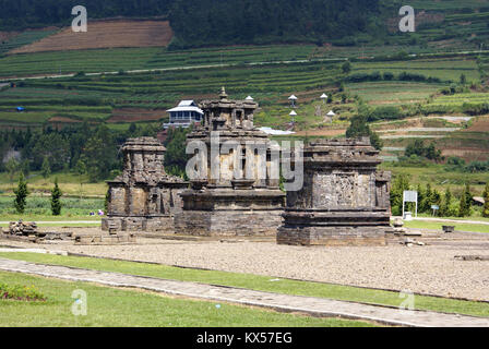 Temples d'Arjuna complex sur plateau Dieng, Java Banque D'Images