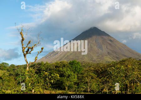 Volcan Arenal dans les nuages, Arenal Volcano National Park, province de Alajuela, Costa Rica Banque D'Images