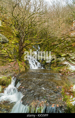 Ruisseau coule à travers les montagnes galloises finira par rejoindre le Dol-y-Réservoir mynach Rhayader Powys UK Banque D'Images