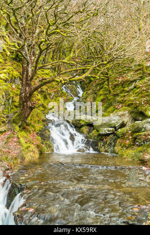 Ruisseau coule à travers les montagnes galloises finira par rejoindre le Dol-y-Réservoir mynach Rhayader Powys UK Banque D'Images