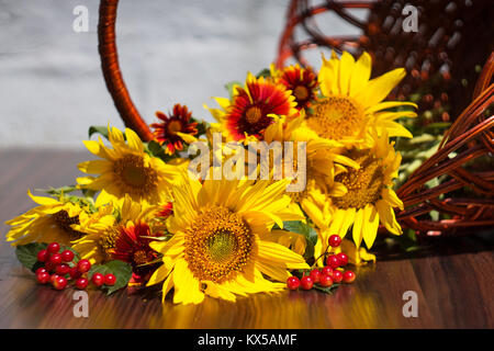 Tournesols avec des couleurs vives et du viburnum dans un panier renversé sur un arrière-plan flou Banque D'Images